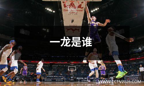 一龙是谁