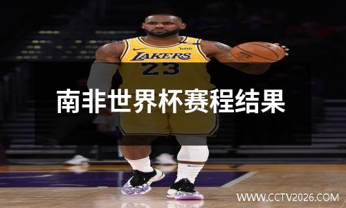 南非世界杯赛程结果