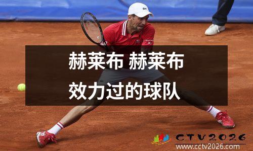 赫莱布 赫莱布效力过的球队