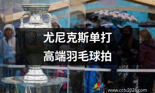 尤尼克斯单打高端羽毛球拍