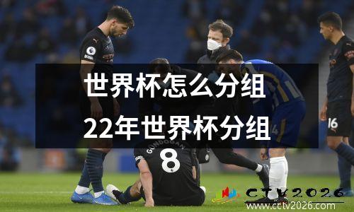 世界杯怎么分组 22年世界杯分组