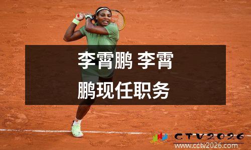 李霄鹏 李霄鹏现任职务