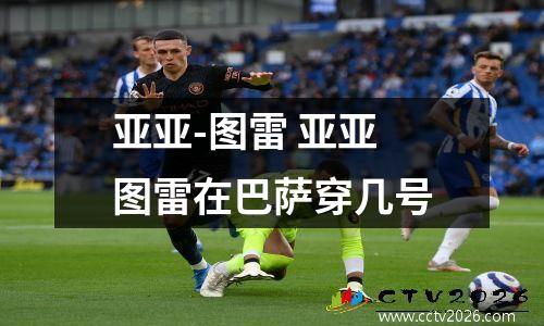 亚亚-图雷 亚亚图雷在巴萨穿几号