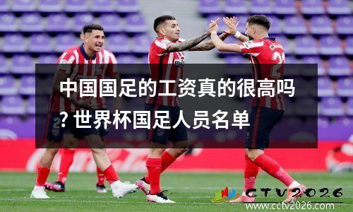 中国国足的工资真的很高吗? 世界杯国足人员名单