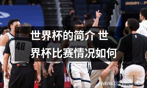 世界杯的简介 世界杯比赛情况如何