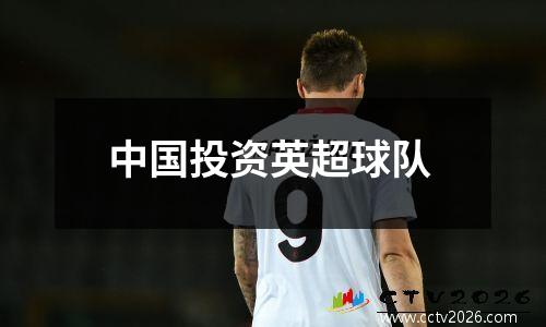 中国投资英超球队