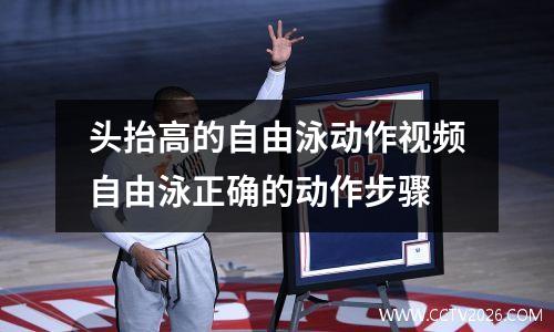 头抬高的自由泳动作视频自由泳正确的动作步骤