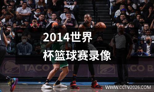 2014世界杯篮球赛录像