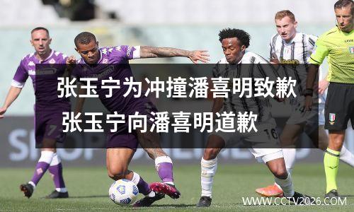 张玉宁为冲撞潘喜明致歉 张玉宁向潘喜明道歉