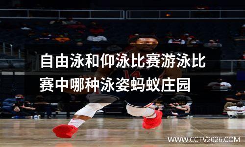 自由泳和仰泳比赛游泳比赛中哪种泳姿蚂蚁庄园