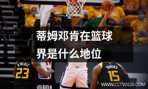 蒂姆邓肯在篮球界是什么地位