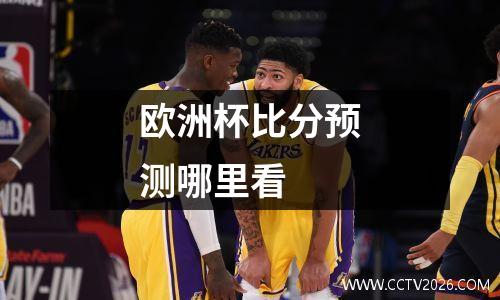 欧洲杯比分预测哪里看