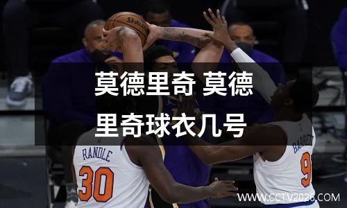 莫德里奇 莫德里奇球衣几号