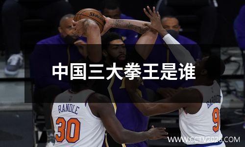 中国三大拳王是谁