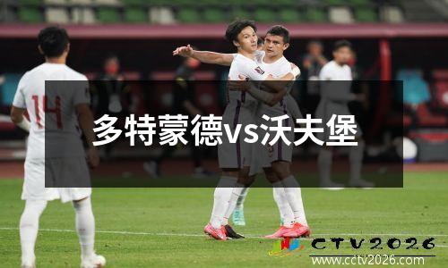 多特蒙德vs沃夫堡