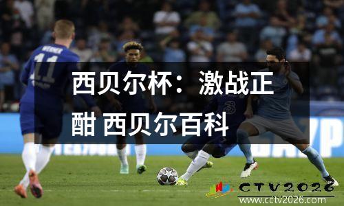 西贝尔杯：激战正酣 西贝尔百科
