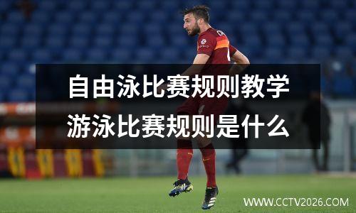 自由泳比赛规则教学游泳比赛规则是什么