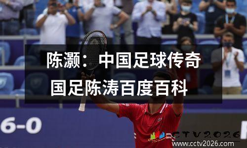 陈灏：中国足球传奇 国足陈涛百度百科