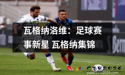 瓦格纳洛维：足球赛事新星 瓦格纳集锦
