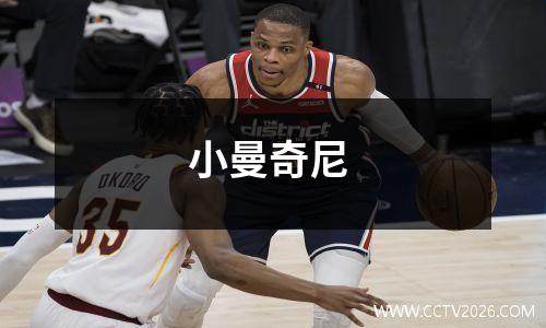 小曼奇尼