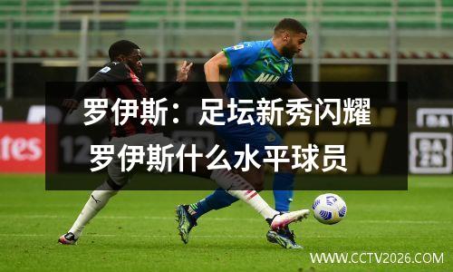 罗伊斯：足坛新秀闪耀 罗伊斯什么水平球员
