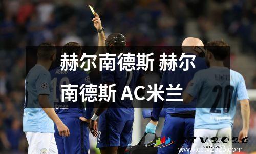 赫尔南德斯 赫尔南德斯 AC米兰