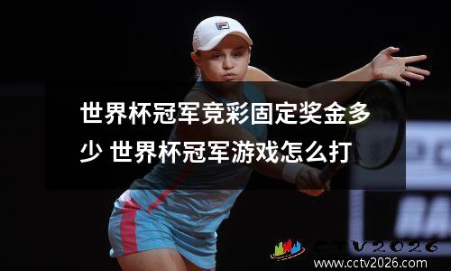 世界杯冠军竞彩固定奖金多少 世界杯冠军游戏怎么打