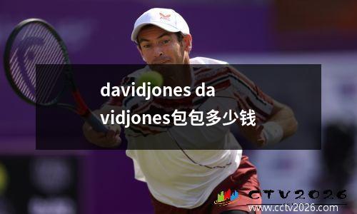 davidjones davidjones包包多少钱