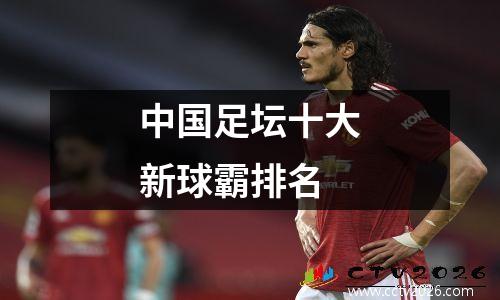 中国足坛十大新球霸排名