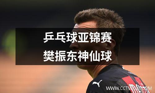乒乓球亚锦赛樊振东神仙球
