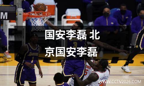 国安李磊 北京国安李磊