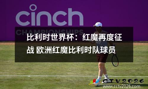 比利时世界杯：红魔再度征战 欧洲红魔比利时队球员