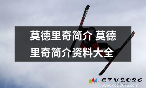 莫德里奇简介 莫德里奇简介资料大全
