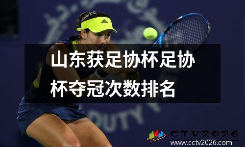山东获足协杯足协杯夺冠次数排名