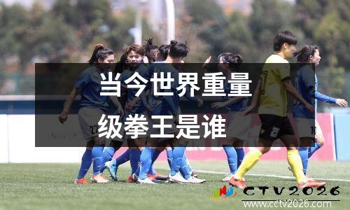 当今世界重量级拳王是谁