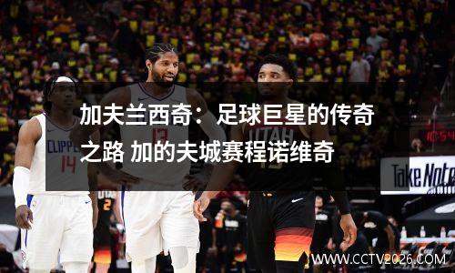 加夫兰西奇：足球巨星的传奇之路 加的夫城赛程诺维奇