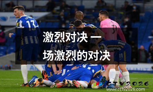 激烈对决 一场激烈的对决