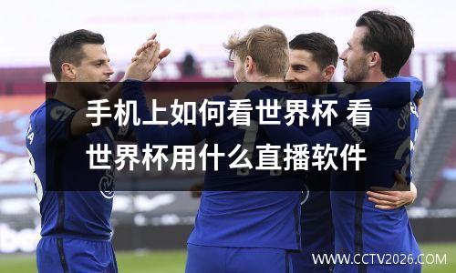 手机上如何看世界杯 看世界杯用什么直播软件