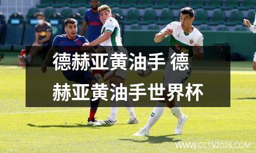 德赫亚黄油手 德赫亚黄油手世界杯