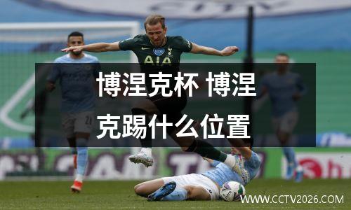 博涅克杯 博涅克踢什么位置