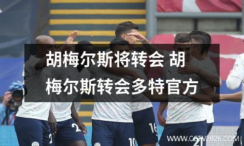 胡梅尔斯将转会 胡梅尔斯转会多特官方