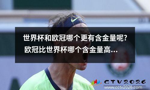 世界杯和欧冠哪个更有含金量呢? 欧冠比世界杯哪个含金量高些