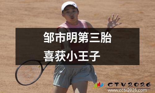 邹市明第三胎喜获小王子