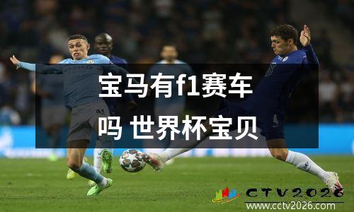 宝马有f1赛车吗 世界杯宝贝