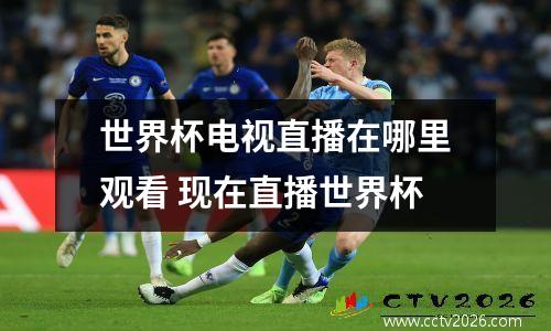 世界杯电视直播在哪里观看 现在直播世界杯