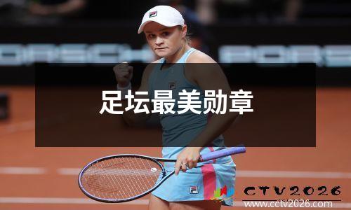 足坛最美勋章