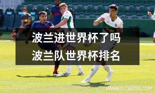 波兰进世界杯了吗 波兰队世界杯排名
