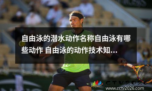 自由泳的潜水动作名称自由泳有哪些动作 自由泳的动作技术知识