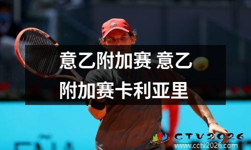意乙附加赛 意乙附加赛卡利亚里