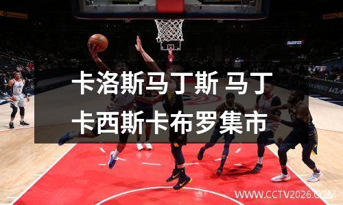 卡洛斯马丁斯 马丁卡西斯卡布罗集市